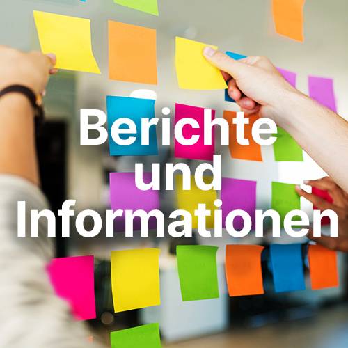 SE Mannheim Nord, Berichte und Informationen